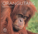 Orangutans (World Life Library)