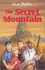 The Secret Mountain (Secret Series)