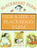 Hide and Seek at Blackberry Farm