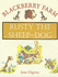 Rusty the Sheepdog (Blackberry Farm)
