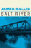 Salt River