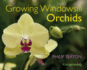 Growing Windowsill Orchids