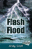 Flash Flood (Solo)