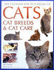 The Ultimate Encyclopedia of Cats, Cat Breeds, and Cat Care