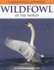 Wildfowl of the World (Photographic Handbooks)