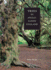 Trees in Anglo-Saxon England: Literature, Lore and Landscape (Anglo-Saxon Studies)