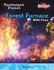 Forest Furnace: Wild Fires (Turbulent Planet)