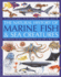 Marine Fish: an Authoritative Guide to the Fascinating Diversity of Saltwater Aquatic Life