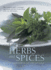 Cooking With Herbs and Spices
