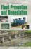 Flood Prevention and Remediation