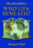 Hertfordshire: Who Lies Beneath