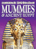 Mummies & Ancient Egypt (History Explorers Series)