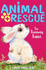 The Runaway Rabbit (Animal Rescue)