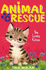 The Lonely Kitten: 11 (Animal Rescue (11))