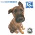 The Dog: Your Best Friend (Artist Collection) (Artlist Collection: the Dog)
