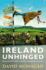 Ireland Unhinged: Encounters With a Wildly Changing Country