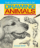 The Fundamentals of Drawing Animals: a Step-By-Step Guide to Creating Eye-Catching Artwork