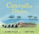 Caterpillar Dreams (Colour First Reader)