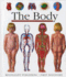 The Body (First Discovery) (First Discovery Series)