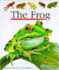 The Frog (First Discovery) (First Discovery Series)