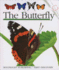 The Butterfly (First Discovery) (First Discovery Series)