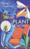 What a Plant Knows: a Field Guide to the Sense of Your Garden (and Beyond). Daniel Chamovitz