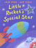 Little Rocket's Special Star