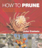 How to Prune: Techniques and Tips for Every Plant and Season