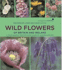 Wild Flowers of Britain and Ireland in Association With Plant Life: a Photographic Field Guide to Over 600 Species: in Association With Natural England