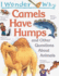 I Wonder Why Camels Have Humps: and Other Questions About Animals
