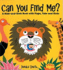 Can You Find Me? : a Hide-and-Seek Book With Flaps, Tabs and Slots