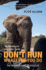 Don't Run, Whatever You Do