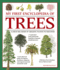 My First Encyclopedia of Trees: a Great Big Book of Amazing Plants to Discover