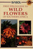 Wildflowers of Southern Africa (Sasol First Field Guide)
