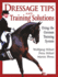 Dressage Tips and Training Solutions By Plewa, Martin ( Author ) on Feb-27-2001, Paperback