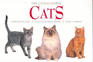 Cats (the Little Guides)