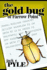 The Gold Bug of Farrow Point: a Young-Adult Novel