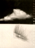 Graphis Amateur Photography 1 (No. 1)