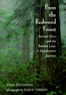 from the redwood forest ancient trees and the bottom line a headwaters jour
