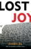 Lost Joy Format: Paperback