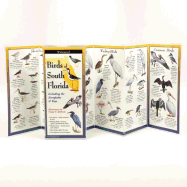 birds of south florida folding guide