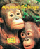 Animal Feelings (the Secret Life of Animals)