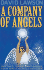 Company of Angels: Your Angel Transformation Guide