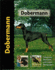 Dobermann-Pet Love