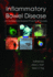 Inflammatory Bowel Disease: an Evidence-Based Practical Guide