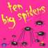 Ten Big Spiders