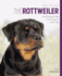 Rottweiler Best of Breed: Your Essential Guide From Puppy to Senior Dog