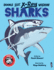 Sharks (Books With X-Ray Vision)