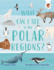 What Can I See in the Polar Regions?