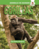 Gorillas Format: Library Bound